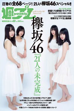 恰锦绣华年